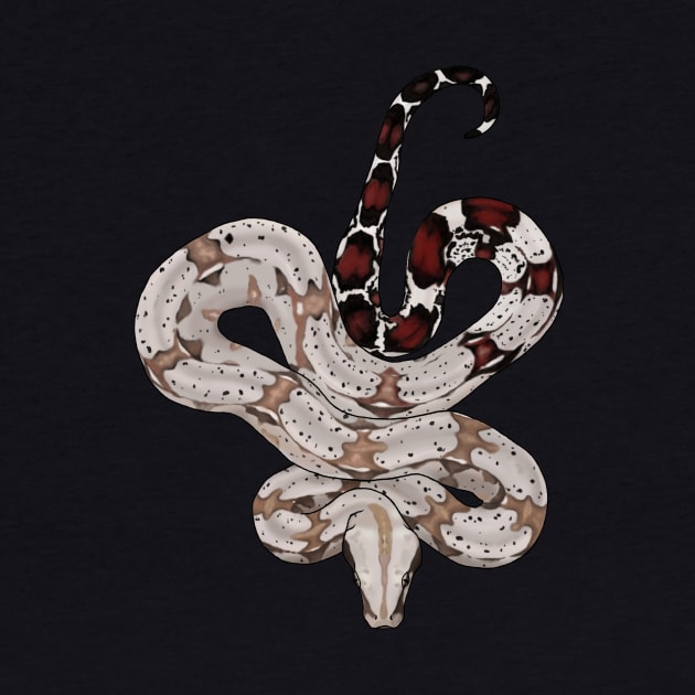 Red Tailed Boa by Tinker and Bone Studio